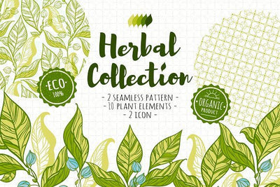 Herbal Collection Patterns and Images for Eco Friendly or Organic Cosmetic Labels