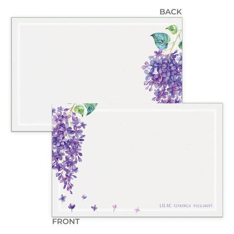 Lilac Note Cards, 4 x 6 inches, Set of 48