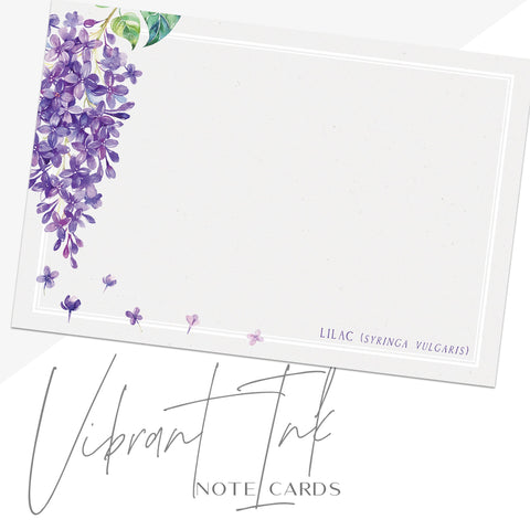 Lilac Note Cards, 4 x 6 inches, Set of 48