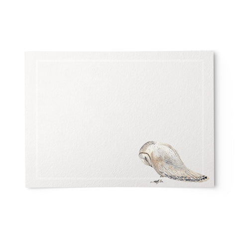 Owl Note Cards, 4 x 6 inches, Set of 48